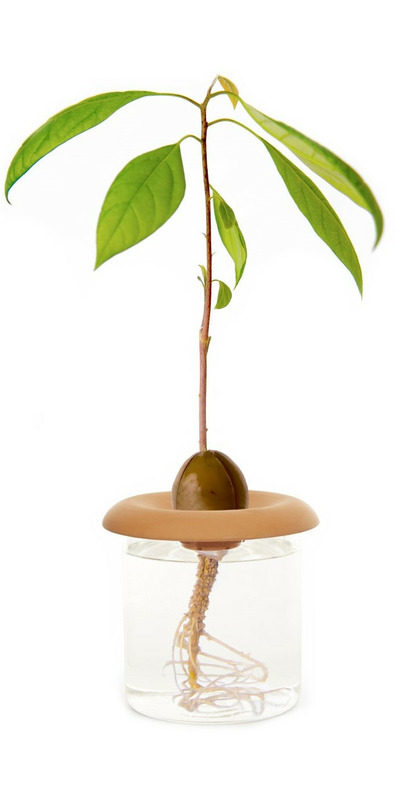 Terracotta Seed Sprouter Set of 3 - Isalbi