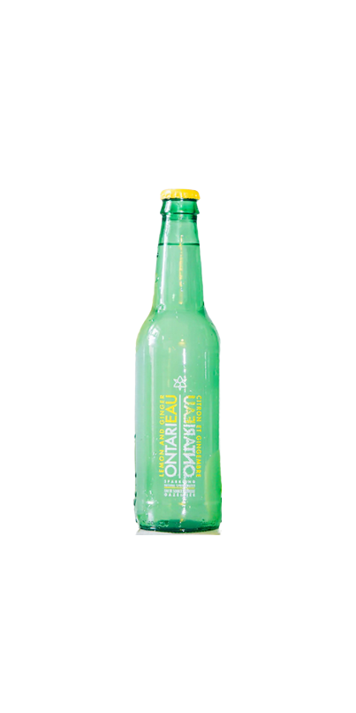 Buy Ontarieau Sparkling Natural Spring Water Lemon & Ginger at Well.ca ...