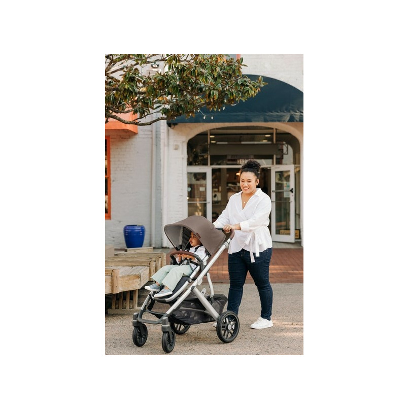 Buy UPPAbaby Vista V2 Stroller Theo at Well.ca | Free Shipping $35+ in  Canada
