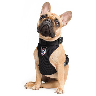 canada pooch harness