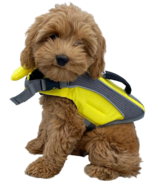 Canada Pooch Wave Rider Life Vest in Yellow Size S