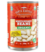 Dunya Harvest Organic White Kidney Beans
