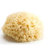 Bellini Sea Sponge Honeycomb Medium