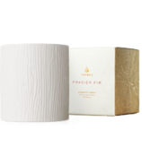 Thymes Medium Gilded Poured Candle Fraser Fir