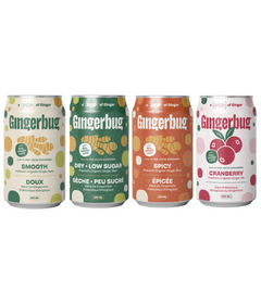 Gingerbug Prebiotic Organic Ginger Beer Variety Bundle