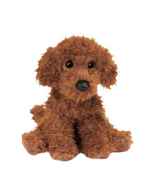 Douglas Ginger Miniature Poodle