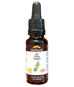 Biofloral No. 32 Vine