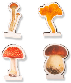 Kikkerland Magnetic Mushroom Bookmark Set