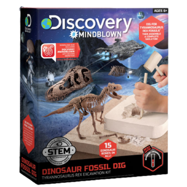 Buy Discovery Kids Dinosaur Excavation Kit Skeleton 3D Puzzle T