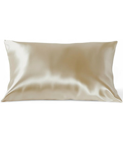 HoneyLux Premium Organic Silk Pillowcase Champange
