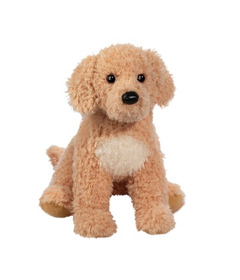 Douglas Noodle Goldendoodle