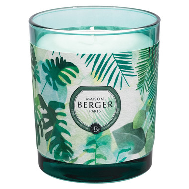 Buy Maison Berger Candle Immersion Collection Fresh Eucalyptus at Well ...