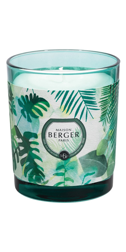 Buy Maison Berger Candle Immersion Collection Fresh Eucalyptus at Well ...