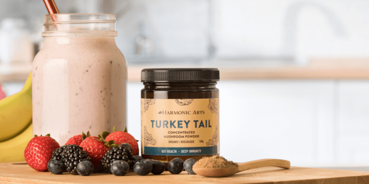 Harmonic Arts Turkey Tail product with smoothie