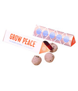 Modern Sprout Boules de semences Bright Side Grow Peace