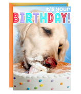 Carte d'anniversaire Hallmark Chien mangeant un gâteau d'anniversaire