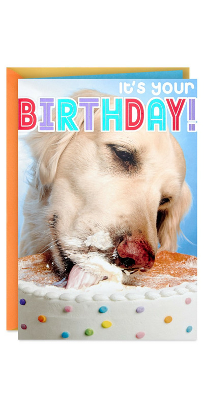 Buy Hallmark Birthday Card Dog Eating Birthday Cake at Well.ca | Free ...