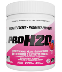 PVL PRO H2O Electrolyte Drink Mix Berry