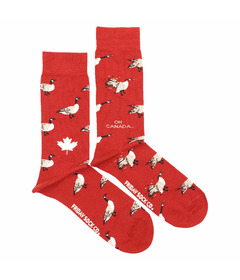 Friday Sock Co. Men's Canada Goose Socks