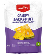 Plantropy Crispy Jackfruit 