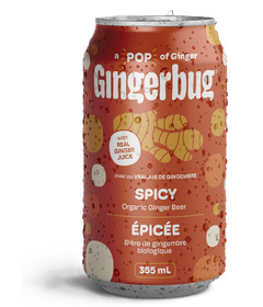 Gingerbug Organic Ginger Beer Spicy