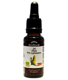 Biofloral No. 24 Pine