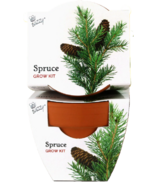 Buzzy Seeds Mini Terra Cotta Grow Pots Spruce