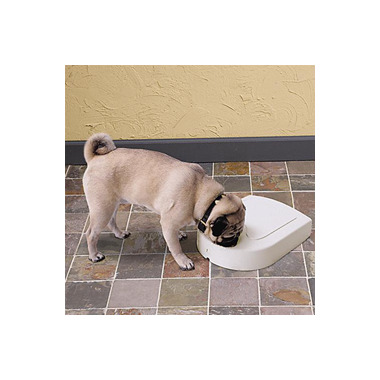 Buy Petsafe 5 Meal Pet Feeder At Well Ca Free Shipping 35 In