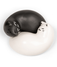 Kikkerland Cat Salt And Pepper Shaker Set