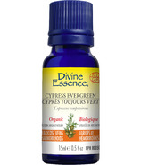Divine Essence Cypress Evergreen Huile essentielle biologique