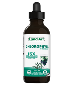 Land Art Chlorophyll Concentrate 15x Eucalyptus