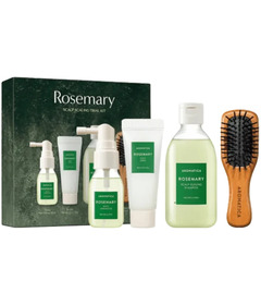 AROMATICA Rosemary Scalp Scaling Trail Kit Set
