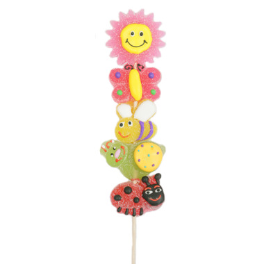 Buy Allison's Garden Jelly Candy Kabob at Well.ca | Free Shipping $49 ...