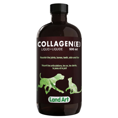 Dog collagen outlet supplement