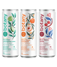 Collective Arts Brewing Botany Sparkling Water Variety Bundle