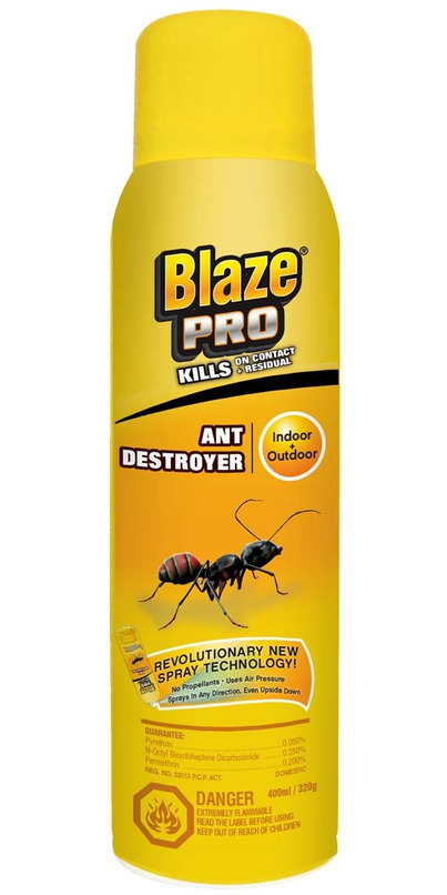 Buy Blaze Pro Ant Destroyer at Well.ca | Free Shipping $35+ in Canada