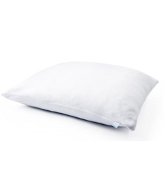 Dreamland Baby Toddler Pillow with Bamboo Pillowcase