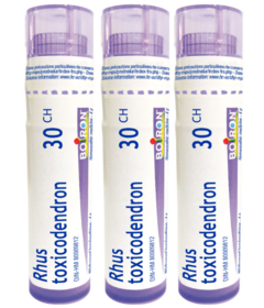 Boiron Rhus Toxicodendron 30CH