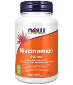 NOW Foods Niacinamide 500mg