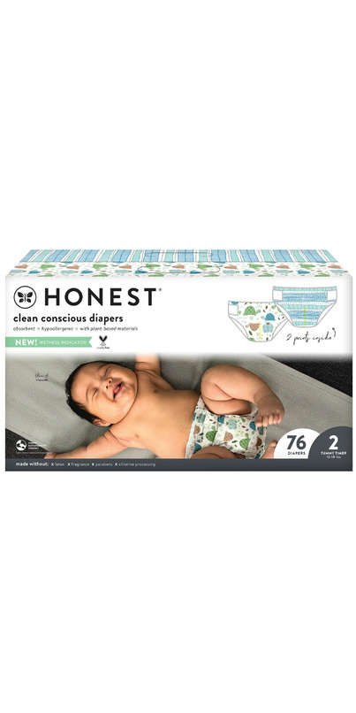 Buy The Honest Company Diapers Club Box Turtle Time + Teal Tribal Size 2 at