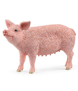 schleich Pig