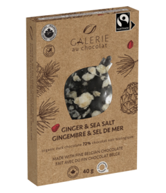 Galerie Au Chocolate Organic Dark Chocolate Ginger & Seal Salt
