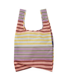 BAGGU Standard Baggu Gradient Stripe Multi
