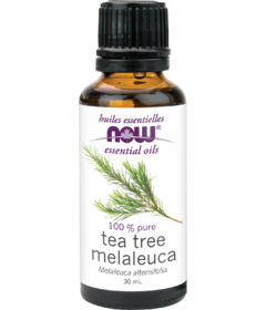 NOW Essential Oils Tea Tree Oil