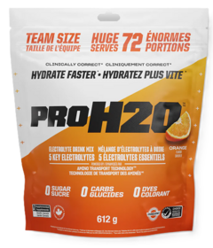 PVL PRO H2O Electrolyte Drink Mix Orange