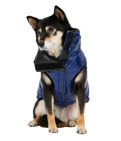 Pajar Pup Theo Reversible Puffer Dog Coat Sapphire