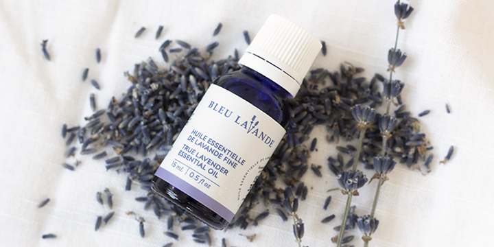bleu lavende product with lavender