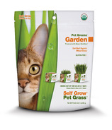 Kit d'auto-génération d'herbe de blé Pet Greens 