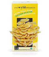 Stay Wyld Organics Ltd. Mushroom Kit Golden Oyster