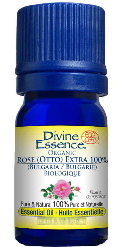 Buy Divine Essence Rose Otto Extra 100 Essential Oil At Wellca Free